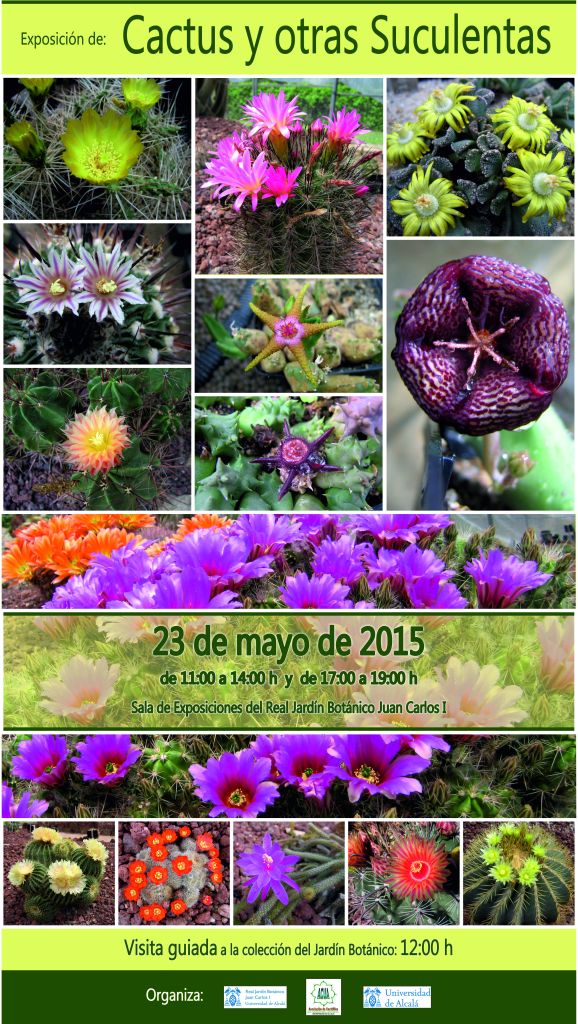 2015 exposición de CACTUS Y OTRAS SUCULENTAS-2