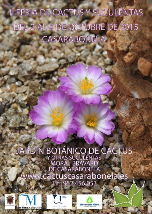 12036626_1671272523161835_2412625843381580485_n