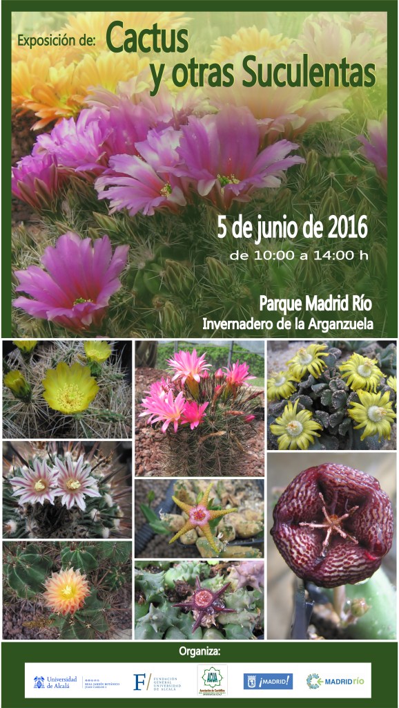 2016 exposición de CACTUS Y OTRAS SUCULENTAS