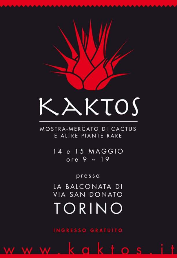 FB_IMG_1462368529589 2