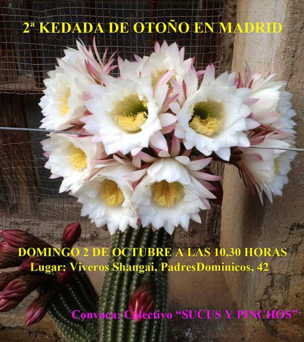 14222325_1208478912505866_926939109618390464_n