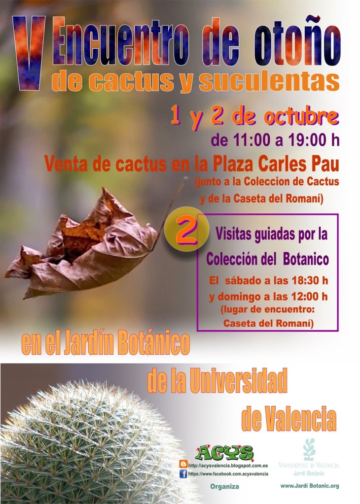 encuentro-de-otono-1-y-2-de-octubre-2016-6-sin-la-sssssss