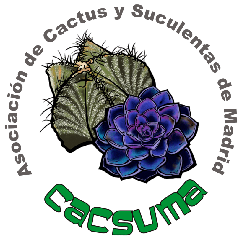 peque_cactus